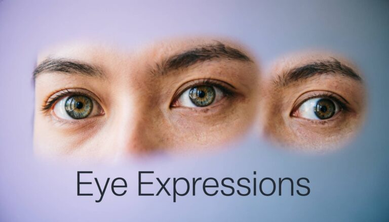 Synonyms for Stare