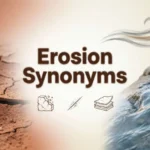 Synonyms of Erosion