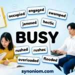 Synonyms of Busy