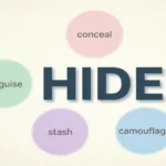 Another Word for Hide